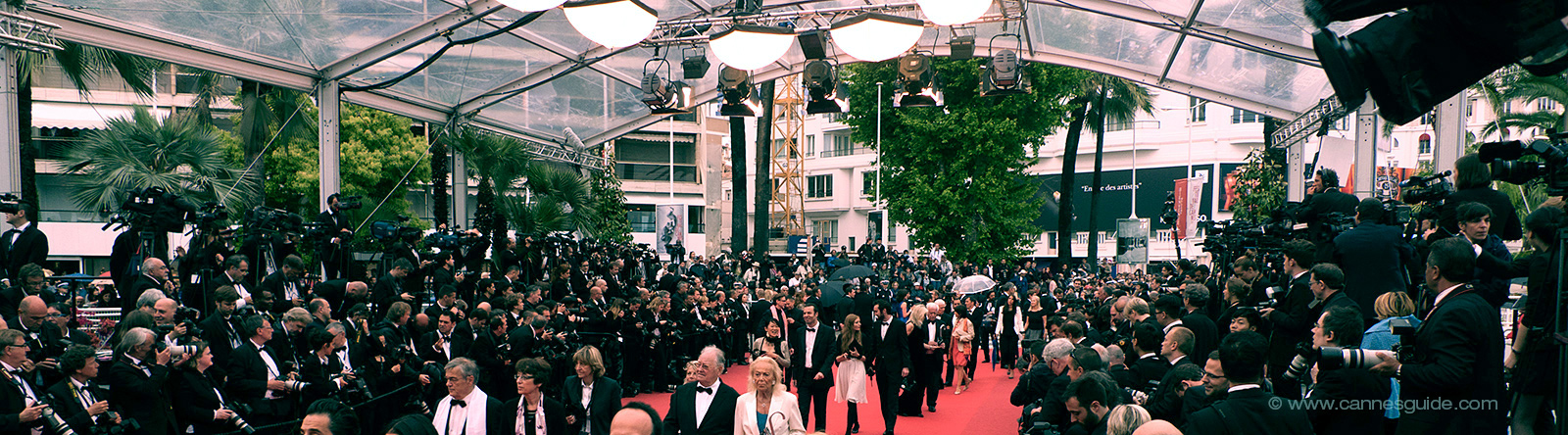 Cannes red carpet